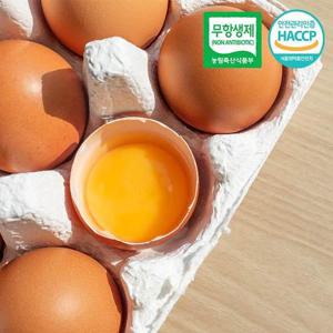 HACCP인증 무항생제 농장직송 달걀 생계란 특란 30구 1판
