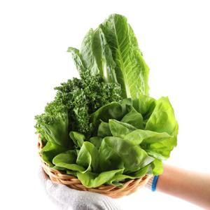 [맛딜]무농약 GAP인증 모듬 샐러드 채소 1kg