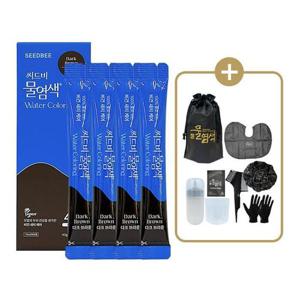 씨드비 물염색 시즌2 프리미엄 새치 커버 다크브라운 4회분+염색도구