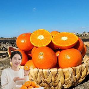 포미식탁 제주 천혜향 가정용 혼합 4.5kg