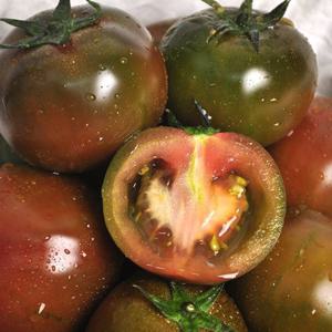 [푸르젠 흑토마토] 보성 산지직송 달콤아삭 흑토마토 2kg