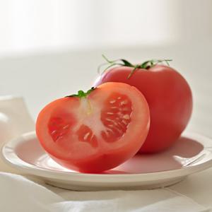 완숙 찰 토마토 2.5kg 중