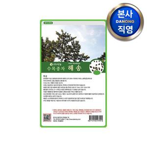 해송 나무 씨앗 20g . 소나무 수목 식물 종자.