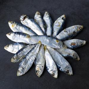 남해안 국물 육수용 밴댕이/디포리 500g