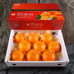 [올찬농산] 천혜향 선물세트(왕특대/특대) 3kg(8~13과) / 제주직송 !!