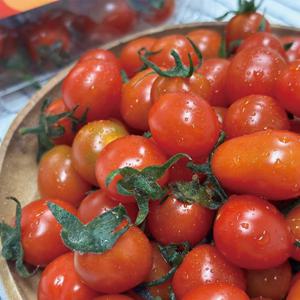 [당일수확/출고]세척 스테비아 대추 방울 토마토 1kg(500g x 2팩)