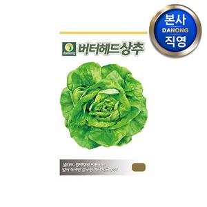 버터헤드 상추 씨앗 1g . 유럽 샐러드 쌈 채소 그린 레이스볼 상추씨 녹색 결구형 야채 종자.