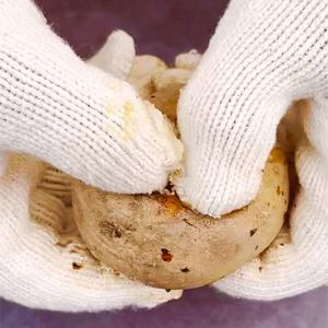 [자연맛남 감자] 제주직송 포슬포슬 노지감자 5kg (중)