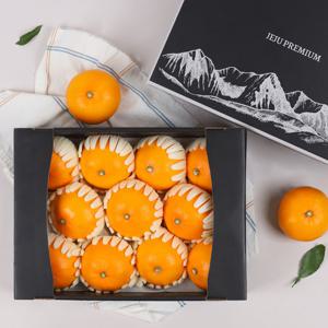 제주 천혜향 명품 선물세트 3kg (중대향/7-15과) 부직포가방동봉