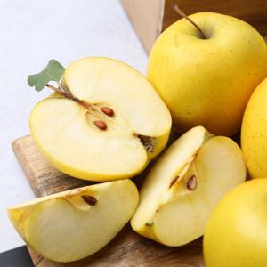 [딜픽]안동 시나노골드 사과 소과 10-13과 2kg내외 정품