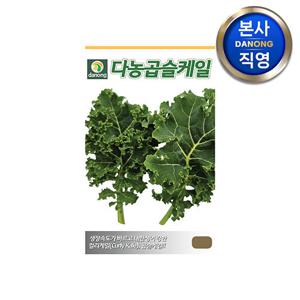 다농 곱슬 케일 씨앗 3g . 컬리 씨 텃밭 쌈 채소 샐러드 캐일 종자.