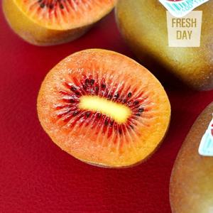 신품종 속빨간 제스프리 루비레드키위 로얄과 20~23입 (1.9kg이내)