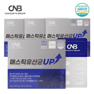 채움앤비움 매스틱 유산균 UP 4박스 6개월분