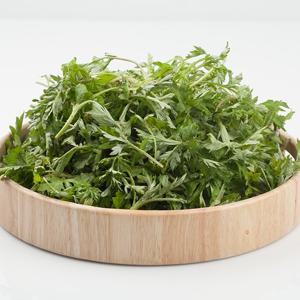 제철 봄나물 해남 노지 생쑥 1kg