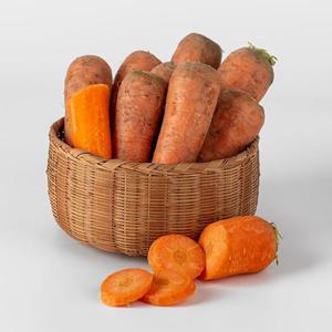 [산지직송] 제주 구좌당근 5kg 왕