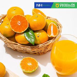 [농협] 문주왕 하우스 제주위미 감귤 3kg (31-50과 내외)