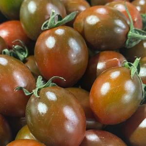 1번 2번 특품 흑대추 방울토마토 1.5kg