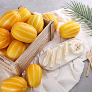 [다농이네]품질 보장 꿀당도 자랑하는 성주 참외 3kg 6-9과 대과