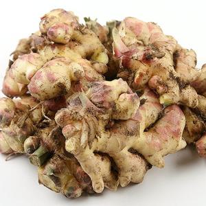 흙생강 특품 2kg