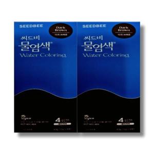 씨드비 물염색 다크브라운 10g x 4포 2박스
