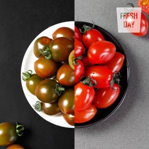 달콤 레드＋블랙 스테비아 방울토마토 선별정품 1kg내 (500g*2팩)