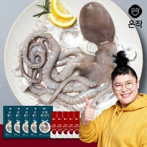 [온작] 이영자 손질통낙지 4미 5팩 (매콤볶음소스 5병 증정)