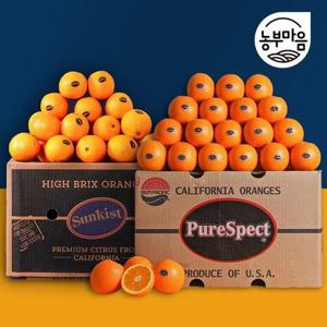 갤러리아_썬키스트/퓨어스팩 블랙라벨 오렌지 55과 중소과