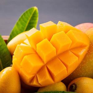 태국 마하차녹 무지개 망고 2kg 특대과(3-7수)