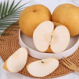 [가정용] 지금이 제철 배 3kg 4-7과