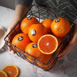 갤러리아_[농부마음]고당도 카라카라 오렌지 40과(8kg내외)중과