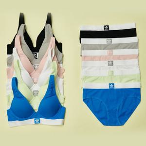 (이월한정) [아디다스 오리지널] 정품 트레포일 불꽃 비비드 브라팬티 2종 택일