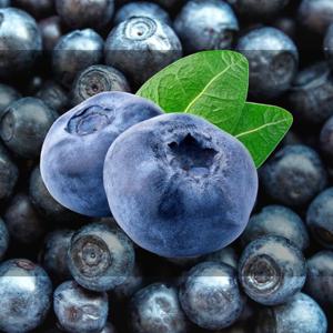 포미식탁 국내산 생 블루베리 대과(16mm 내외) 100gX6팩