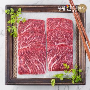 [농협안심한우] 1등급 한우 치마살 구이용 300g