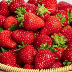 논산 설향 딸기 20-30구 750g내외