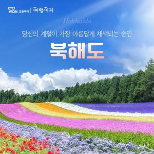 [NO팁 NO옵션]도야 호텔에서 즐기는 불꽃축제&대게뷔페 2회 포함, 프리미엄 북해도 4일