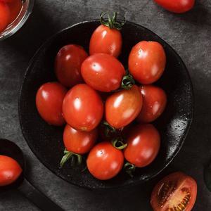 [자연품애 토마토]대추방울토마토 2kg 4번과