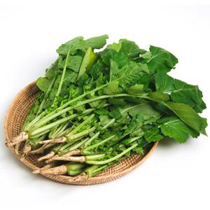 [농협] 국내산 신선 열무 4kg