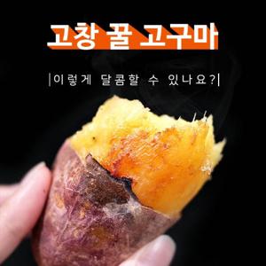 고창 황토 꿀고구마 3kg 특/상(100-300g)