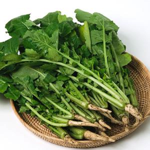 아삭한 국내산 열무 4kg내외