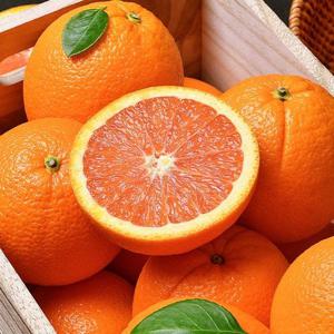 고당도 카라카라 오렌지 30과 중소과(개당 150g내외)