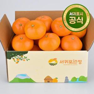 [귤로장생]제주농협 서귀포 인정 천혜향 3.5kg