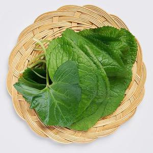 국내산 곰취 500g