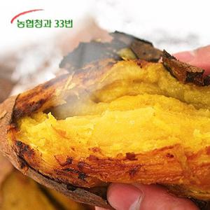 홈앤_[반값장터][농협청과33번]  당도높은 꿀밤고구마 5kg 긴특/긴상 사이즈 (세척)