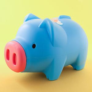 파랑 돼지저금통(왕대) / 복돼지저금통