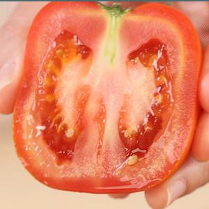 [대한민국농수산] 아삭 완숙 찰 토마토 중과 2.5kg(12~17과 내외)