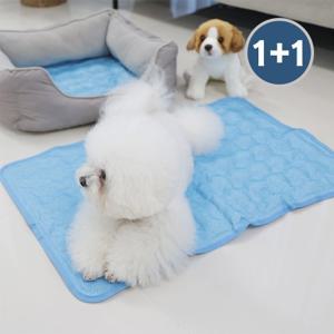 마이또 강아지 쿨매트 대형 1+1 고양이
