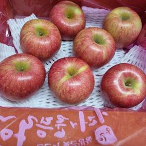 갤러리아_밀양 얼음골 부사사과 3kg 대과(8과내외)