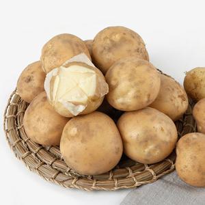 햇감자 포슬포슬 수미감자 소 알감자 2kg