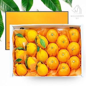 갤러리아_[웰굿]제주직송 한라봉 천혜향 2종 선물세트 2kg(중과)