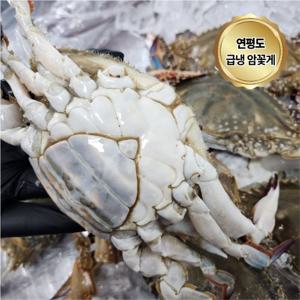 연평도 급냉 암꽃게 국내산 냉동꽃게 3kg (9-15미)